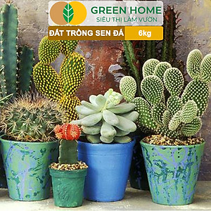 Đất Trồng Sen Đá Greenhome, Soil Mix, Bao 6kg, Trộn Sẵn, 85% Đá Khoáng, Phát Rễ Nhanh, Lên Màu Nhanh, Thoát Nước Tốt