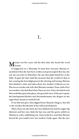 Sách A Thousand Splendid Suns (Perfect Paperback)