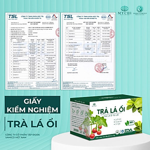 Giá Sỉ 10 Hộp Trà Lá Ổi Mychi Giam Cân Tan Mỡ Ngừa mỡ máu tiểu đường