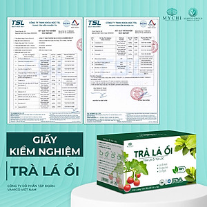 Trà Lá Ổi Mychi - Giảm CÂn, Tan Mỡ, Ngừa Mỡ Máu