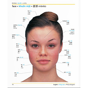 Sách Từ điển hình ảnh Tam Ngữ Trung Anh Việt – Visual English Vietnamese Chinese Trilingual Dictionary + DVD quà tặng