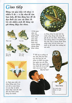 Sách Bách Khoa Động Vật Cho Trẻ Em