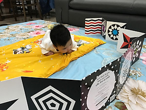 Sách Kích Thích Thị Giác Black And White 1 (Bìa Cứng)