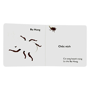 Sách Cùng Chơi Trốn Tìm - Tập 10: Côn Trùng