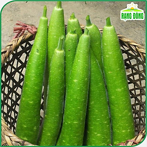 Hạt Giống Bầu Sao Lai F1 Trái Dài, Siêu Đậu Trái, Dễ Trồng - Hạt giống Rạng Đông