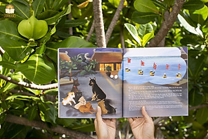 Trường Sa! Biển ấy là của mình