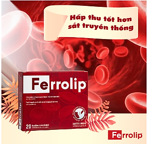 Sắt Bột Buccal Tan Ngay Trong Miệng Ferrolip Hộp 20 gói giành cho người thiếu máu đặc biệt các mẹ sau sinh