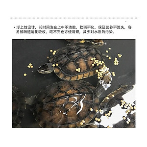 Thức ăn kích màu cho Rùa Nước hãng KAMA - Cám dinh dưỡng cho rùa nước - thức ăn rùa nước