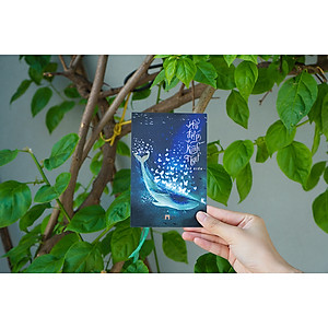 Sách Hồ Điệp Và Kình Ngư