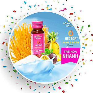 Combo 4 hộp 40 chai Đông trùng hạ thảo Hector Collagen Trẻ hóa nhanh