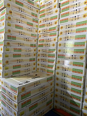 Giá Treo TiVi Di Động North Bayou AVA1500 Màu Đen Lắp Cho Màn Hình 32 inch - 65 inch Nhập Khẩu