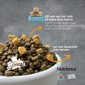Thức Ăn Hạt Cho Mèo Anh ALD & ALN Nutrience Subzero Bao 5kg - Thịt Gà, Cá Hồi, Rau Củ, Trái Cây Tự Nhiên