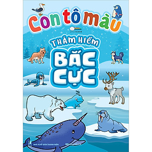 Combo Con Tô Màu Thám Hiểm (4 cuốn)