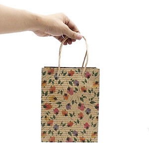 Túi Quà Vintage 21 x 16 cm - The Sun (Mẫu Màu Giao Ngẫu Nhiên)