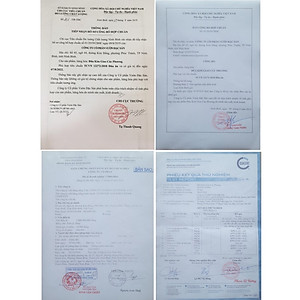 Hộp 10 Đôi Đũa gỗ Kim Giao Vườn Đặc Sản (Dài 27cm) Món quà quý đến từ rừng Cúc Phương Ninh Bình đũa gỗ mộc không sơn không hóa chất không cong vênh không mốc đũa cao cấp đũa của Vua Chúa xưa sử dụng