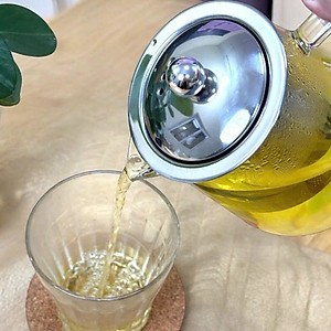 Ấm pha trà thủy tinh chịu nhiệt kèm lõi lọc Inox Echo Japan 650ml