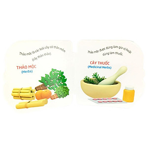 Sách Thế Giới Trong Mắt Em - Thực Vật