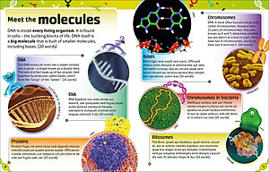 The Dna Book: Discover What Makes You You