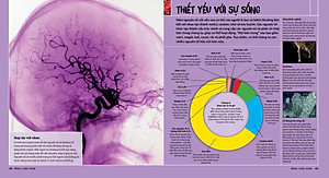 Bảng Tuần Hoàn Hóa Học