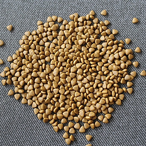 [DATE MỚI] [ 5.6KG]  Thức ăn hạt cho chó ANF 6FREE PLUS vị VỊT + CÁ HỒI nhập khẩu Hàn Quốc