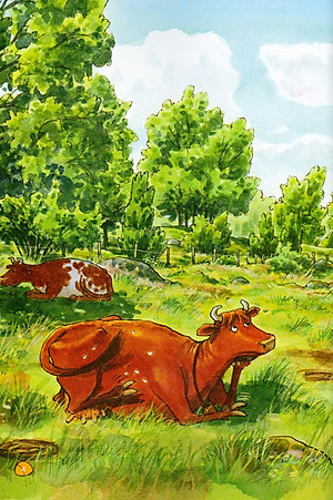 Sách Mamma Moo Và Chú Quạ Rắc Rối - Mamma Moo Bị Thương