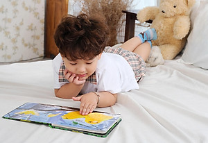 Touch And Feel - Sách Sờ Chạm Khám Phá - Thế Giới Động Vật - Bốn Mùa Tươi Đẹp