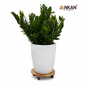 Đế Kê Chậu Cây Có Bánh Xe ANKAN, R30cm Làm Giá Đỡ Kệ Hoa Cây Cảnh, Màu Vàng Nắng, Chịu Tải 120Kg