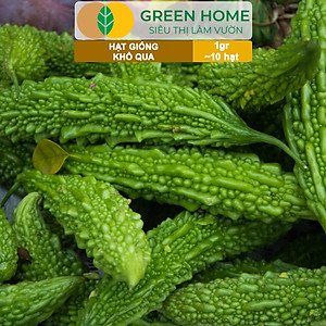 Hạt Giống Khổ Qua Greenhome, Gói 1gr~10 hạt, Dễ Trồng Quanh Năm, Nảy Mầm Cao, Thu Hoạch Nhanh, Năng Suất Cao T05