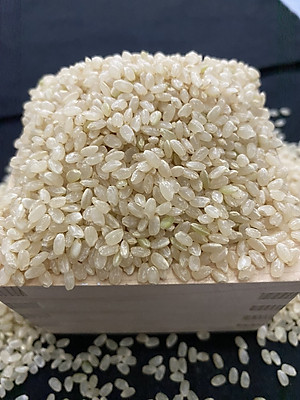 GẠO NHẬT MILKY QUEEN ORGANIC - HỮU CƠ JAS- GẠO TRẮNG - XÁT DỐI