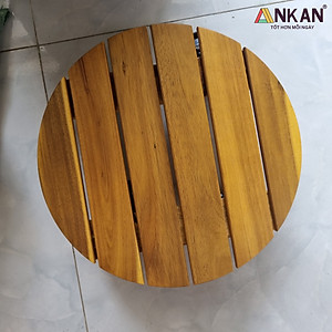 Đế Kê Chậu Cây Có Bánh Xe ANKAN, R30cm Làm Giá Đỡ Kệ Hoa Cây Cảnh, Màu Vàng Nắng, Chịu Tải 150Kg