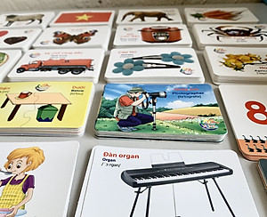 Bộ thẻ học thông minh 450 thẻ với 20 chủ đề về thế giới xung quanh cho bé (Flashcard)