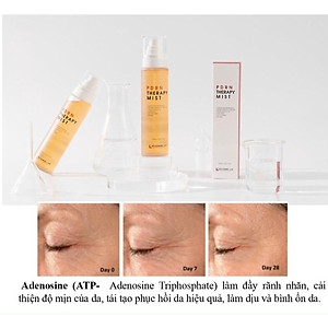 Xịt khoáng dưỡng ẩm Kyung Lab Pdrn Therapy Mist 150ml - cấp ẩm, dưỡng trắng và phục hồi da 