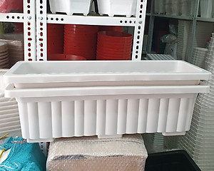 Bộ 5 Chậu Nhựa Thông Minh Trồng Rau Hoa Hải Đăng CH5-06 - Trắng