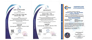 Lọ Thủy Tinh 45g_Cà phê AEROCO hòa tan sấy lạnh thăng hoa Fine Robusta