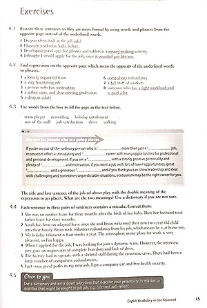 English Vocabulary in Use: Vocabulary Reference and Practice (CD-ROM)