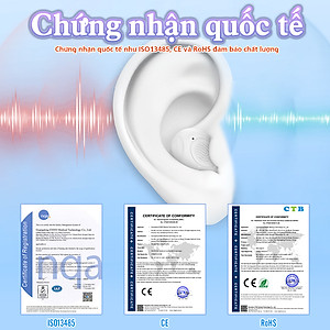 Máy trợ thính đeo trong tai Funmic EN-IA102A - Loại đeo 2 tai