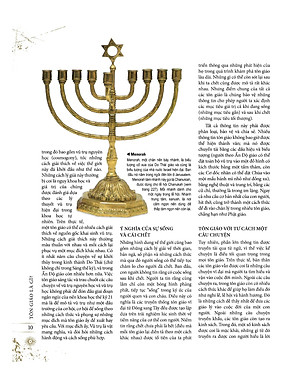 World Religions - Tôn Giáo Thế Giới - Khám Phá Và Lý Giải Các Tôn Giáo Trên Thế Giới - Bìa Cứng