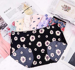 Set 5 Quần Lót Đúc Su Điều Hòa Thông Thoáng HM11