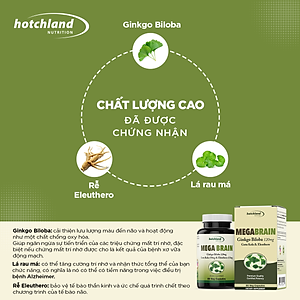 Viên uống Ginkgo Biloba hỗ trợ tăng cường tuần hoàn máu não, bổ não Hotchland Mega Brain TPBVSK-Hàng chính hãng [Hộp 60 viên]-HL0115