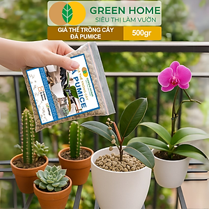 Đá Pumice Greenhome, Bao 500gr, Đất Trồng Sen Đá, Giá Thể Trồng Cây, Lót Chậu, Nhiều Khoáng Chất, Thoát Nước Tốt