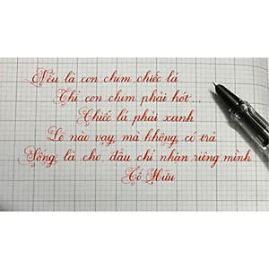 Bút Máy Leta 368 , Bút Luyện Chữ Đẹp Ngòi Lá Tre Nét Thanh Đậm Viết Calligraphy