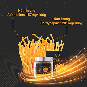 Đông trùng hạ thảo bán tự nhiên Dược Quý Đường hộp 20g - Hỗ trợ bổ phế, ích can thận, bồi bổ cơ thể