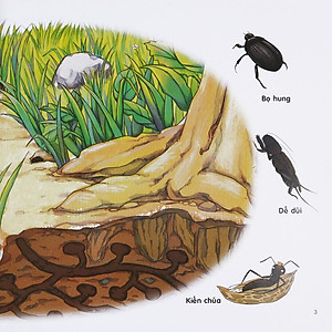 Sách Chú Mèo Kẹo Bi Phiêu lưu Trong Xứ Sở Côn Trùng (Tập 2): Trong Lòng Đất