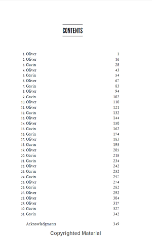 Bergman Brothers 5: Everything For You