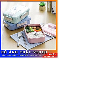  HỘP CƠM LÚA MẠCH 1 tầng 3 NGĂN KÈM ĐŨA THÌA INOX