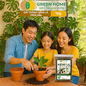 Đất Trồng Kiểng Lá Greenhome, Bao 1kg, Giá Thể Trộn Sẵn, Tiện Lợi Cho Monstera, Kiểng Lá
