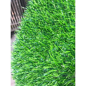 Thảm cỏ nhân tạo cỏ cao 2cm, trang trí trải sân vườn Hàng chuẩn loại đẹp cắt theo yêu cầu