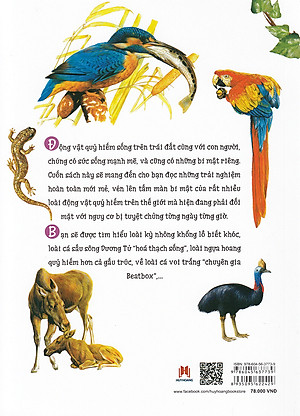 Thiên Nhiên- Những Bí Mật Còn Ẩn Giấu - Động Vật Quý Hiếm (Tái Bản 2019)- 2HBooks