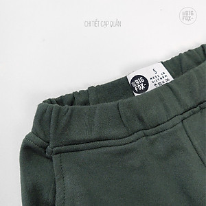 Quần thun bé trai Bigfox - Miss Meow quần dài cho bé chất nỉ phong cách Âu Mỹ hình in Brooklyn 3-11