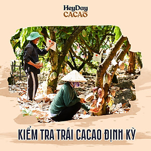 Bột cacao nguyên chất 100% Việt Nam - Dòng Balanced phổ thông túi 200g -  Chuyên dùng làm bánh, pha chế cho quán cà phê - Heyday Cacao